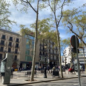 Barcelona- LaRambla131_Prime_5