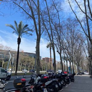 local-alquiler-barcelona-avinguda-diagonal (3)