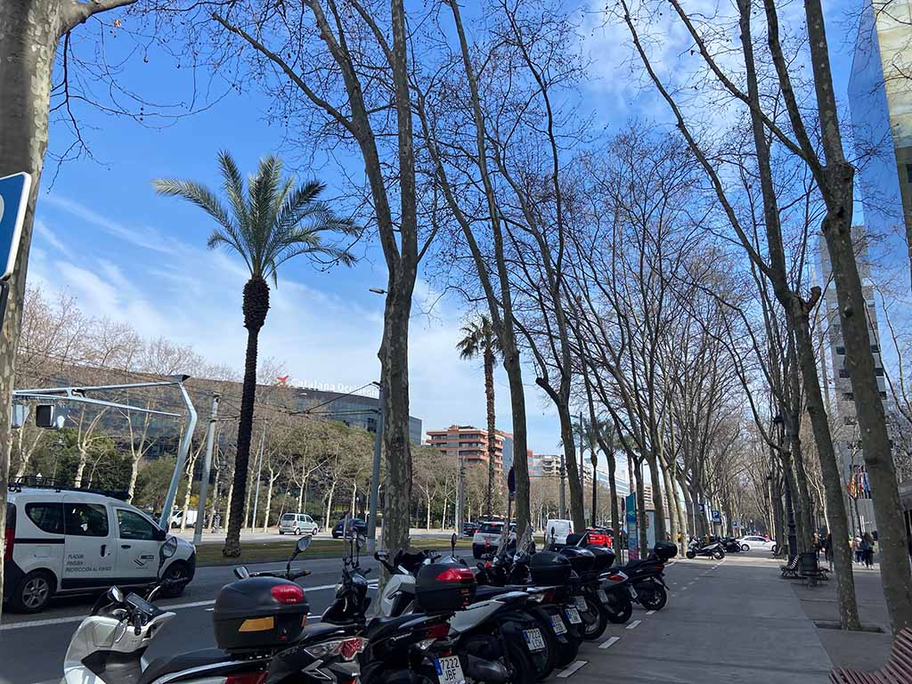 Retail units for rent | Diagonal Avenue | Barcelona