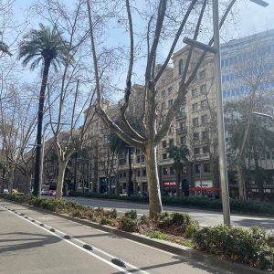 local-alquiler-barcelona-avinguda-diagonal (4)