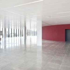 oficinas-interior-torrerealia-cushman-barcelona.jpg
