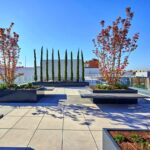 ALQUILER-OFICINAS-BARCELONA-CALLE-ANCORA-40-MADRID-TERRAZA.jpg