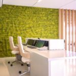 ALQUILER-OFICINAS-LAS-ROZAS-CALLE-JOS?-ECHEGARAY-1-28232-LAS-ROZAS-DE-MADRID-RECEPCI?N.jpg
